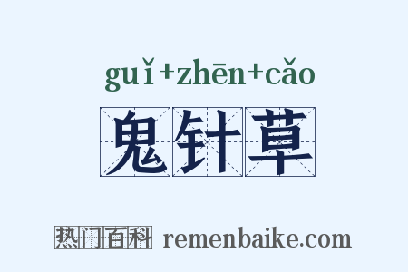 鬼针草是什么意思的图片